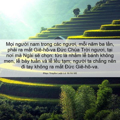 Picture 06 - Phục Truyền Luật Lệ 16:16 VIE - Mọi người nam trong các ngươi, mỗi năm - Bible Verse Picture