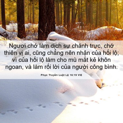 Picture 06 - Phục Truyền Luật Lệ 16:19 VIE - Ngươi chớ làm dịch sự chánh trực, - Bible Verse Picture