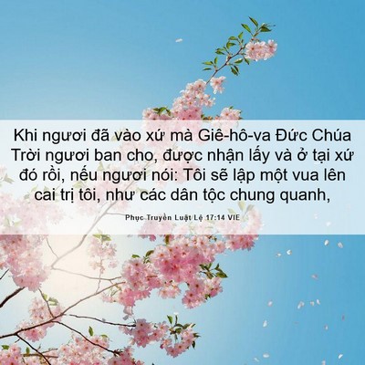 Picture 06 - Phục Truyền Luật Lệ 17:14 VIE - Khi ngươi đã vào xứ mà Giê-hô-va Đức - Bible Verse Picture