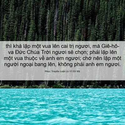 Picture 06 - Phục Truyền Luật Lệ 17:15 VIE - thì khá lập một vua lên cai trị ngươi, - Bible Verse Picture