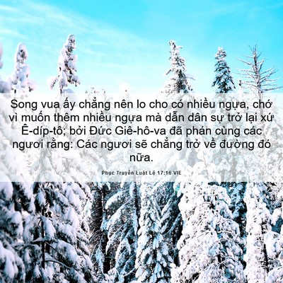 Picture 06 - Phục Truyền Luật Lệ 17:16 VIE - Song vua ấy chẳng nên lo cho có nhiều - Bible Verse Picture