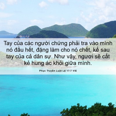Picture 06 - Phục Truyền Luật Lệ 17:7 VIE - Tay của các người chứng phải tra vào - Bible Verse Picture