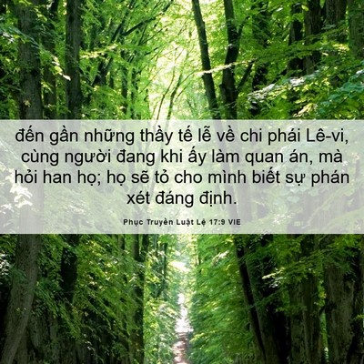 Picture 06 - Phục Truyền Luật Lệ 17:9 VIE - đến gần những thầy tế lễ về chi - Bible Verse Picture