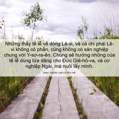Picture 06 - Phục Truyền Luật Lệ 18:1 VIE - Những thầy tế lễ về dòng Lê-vi, và - Bible Verse Picture
