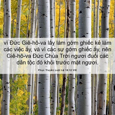 Picture 06 - Phục Truyền Luật Lệ 18:12 VIE - vì Đức Giê-hô-va lấy làm gớm ghiếc - Bible Verse Picture
