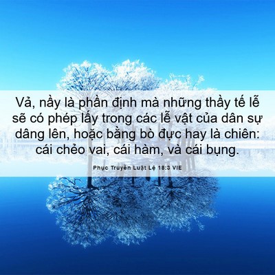 Picture 06 - Phục Truyền Luật Lệ 18:3 VIE - Vả, nầy là phần định mà những thầy - Bible Verse Picture