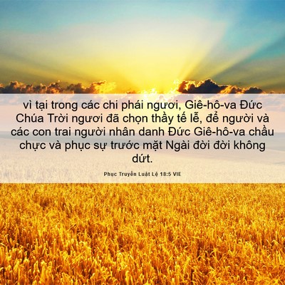 Picture 06 - Phục Truyền Luật Lệ 18:5 VIE - vì tại trong các chi phái ngươi, - Bible Verse Picture