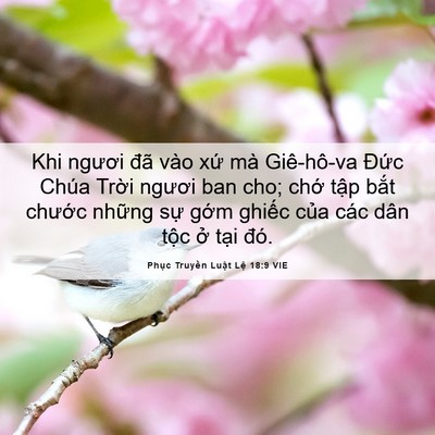 Picture 06 - Phục Truyền Luật Lệ 18:9 VIE - Khi ngươi đã vào xứ mà Giê-hô-va Đức - Bible Verse Picture