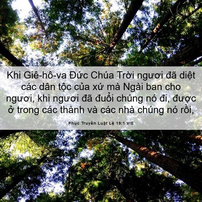 Picture 06 - Phục Truyền Luật Lệ 19:1 VIE - Khi Giê-hô-va Đức Chúa Trời ngươi đã - Bible Verse Picture