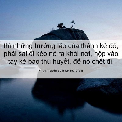 Picture 06 - Phục Truyền Luật Lệ 19:12 VIE - thì những trưởng lão của thành kẻ - Bible Verse Picture