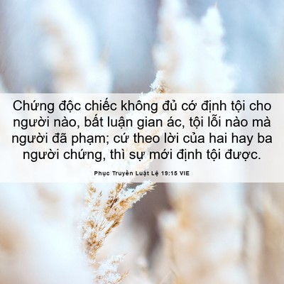 Picture 06 - Phục Truyền Luật Lệ 19:15 VIE - Chứng độc chiếc không đủ cớ định - Bible Verse Picture