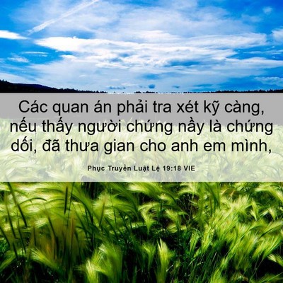 Picture 06 - Phục Truyền Luật Lệ 19:18 VIE - Các quan án phải tra xét kỹ càng, nếu - Bible Verse Picture