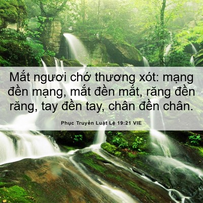 Picture 06 - Phục Truyền Luật Lệ 19:21 VIE - Mắt ngươi chớ thương xót: mạng đền - Bible Verse Picture