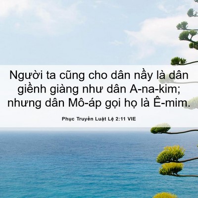 Picture 06 - Phục Truyền Luật Lệ 2:11 VIE - Người ta cũng cho dân nầy là dân giềnh - Bible Verse Picture