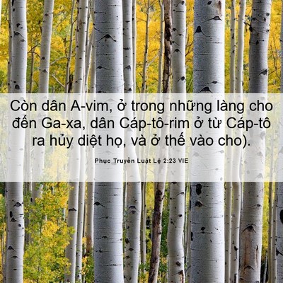 Picture 06 - Phục Truyền Luật Lệ 2:23 VIE - Còn dân A-vim, ở trong những làng cho - Bible Verse Picture