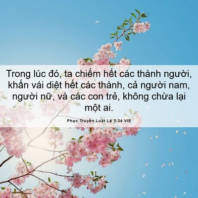 Picture 06 - Phục Truyền Luật Lệ 2:34 VIE - Trong lúc đó, ta chiếm hết các thành - Bible Verse Picture