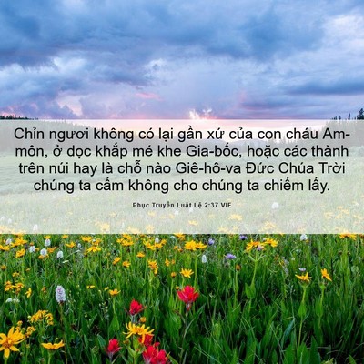 Picture 06 - Phục Truyền Luật Lệ 2:37 VIE - Chỉn ngươi không có lại gần xứ của - Bible Verse Picture