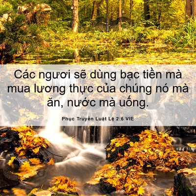 Picture 06 - Phục Truyền Luật Lệ 2:6 VIE - Các ngươi sẽ dùng bạc tiền mà mua - Bible Verse Picture