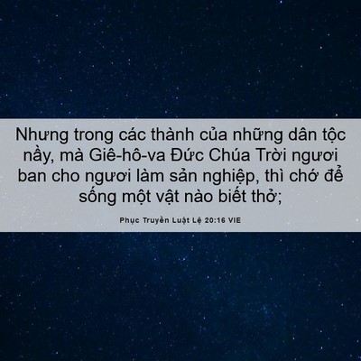 Picture 06 - Phục Truyền Luật Lệ 20:16 VIE - Nhưng trong các thành của những dân tộc - Bible Verse Picture