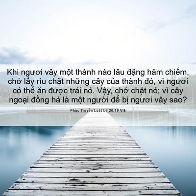 Picture 06 - Phục Truyền Luật Lệ 20:19 VIE - Khi ngươi vây một thành nào lâu đặng - Bible Verse Picture
