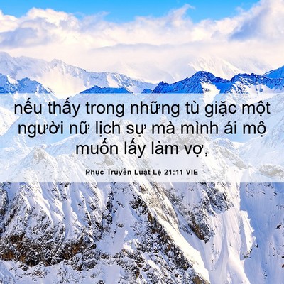 Picture 06 - Phục Truyền Luật Lệ 21:11 VIE - nếu thấy trong những tù giặc một - Bible Verse Picture