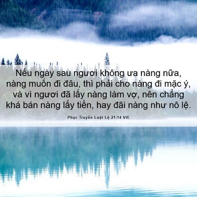 Picture 06 - Phục Truyền Luật Lệ 21:14 VIE - Nếu ngày sau ngươi không ưa nàng nữa, - Bible Verse Picture