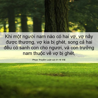 Picture 06 - Phục Truyền Luật Lệ 21:15 VIE - Khi một người nam nào có hai vợ, vợ - Bible Verse Picture