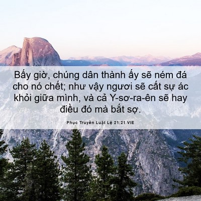 Picture 06 - Phục Truyền Luật Lệ 21:21 VIE - Bấy giờ, chúng dân thành ấy sẽ ném - Bible Verse Picture