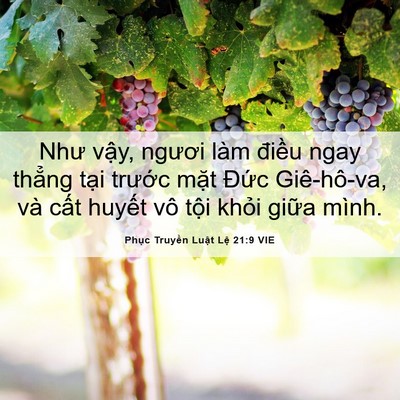 Picture 06 - Phục Truyền Luật Lệ 21:9 VIE - Như vậy, ngươi làm điều ngay thẳng - Bible Verse Picture