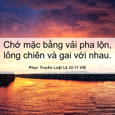 Picture 06 - Phục Truyền Luật Lệ 22:11 VIE - Chớ mặc bằng vải pha lộn, lông chiên - Bible Verse Picture
