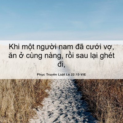 Picture 06 - Phục Truyền Luật Lệ 22:13 VIE - Khi một người nam đã cưới vợ, ăn ở - Bible Verse Picture