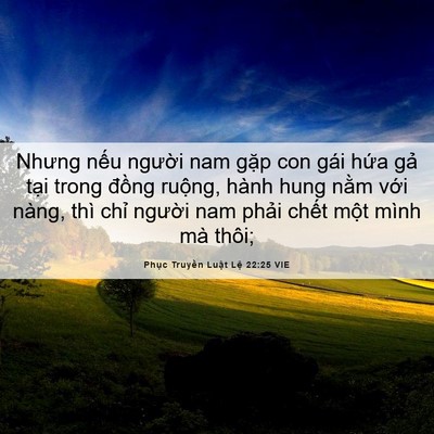 Picture 06 - Phục Truyền Luật Lệ 22:25 VIE - Nhưng nếu người nam gặp con gái hứa - Bible Verse Picture