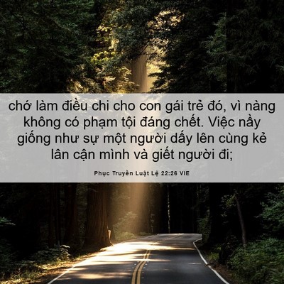 Picture 06 - Phục Truyền Luật Lệ 22:26 VIE - chớ làm điều chi cho con gái trẻ đó, - Bible Verse Picture