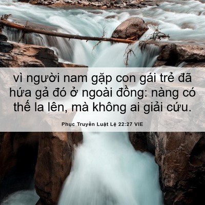 Picture 06 - Phục Truyền Luật Lệ 22:27 VIE - vì người nam gặp con gái trẻ đã hứa - Bible Verse Picture