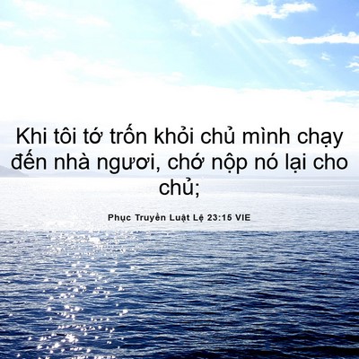 Picture 06 - Phục Truyền Luật Lệ 23:15 VIE - Khi tôi tớ trốn khỏi chủ mình chạy - Bible Verse Picture