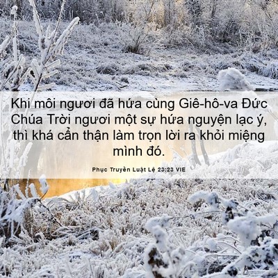 Picture 06 - Phục Truyền Luật Lệ 23:23 VIE - Khi môi ngươi đã hứa cùng Giê-hô-va - Bible Verse Picture