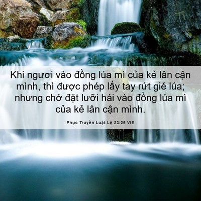 Picture 06 - Phục Truyền Luật Lệ 23:25 VIE - Khi ngươi vào đồng lúa mì của kẻ lân - Bible Verse Picture