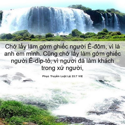 Picture 06 - Phục Truyền Luật Lệ 23:7 VIE - Chớ lấy làm gớm ghiếc người Ê-đôm, - Bible Verse Picture