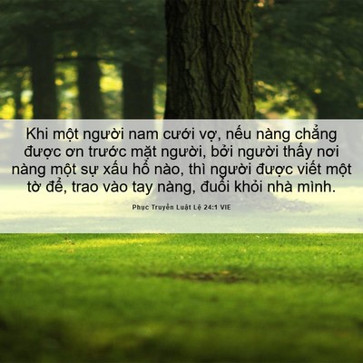 Picture 06 - Phục Truyền Luật Lệ 24:1 VIE - Khi một người nam cưới vợ, nếu nàng - Bible Verse Picture