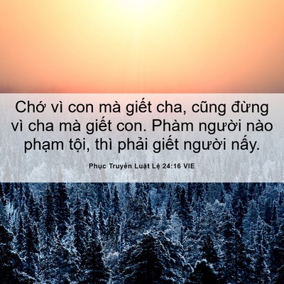 Picture 06 - Phục Truyền Luật Lệ 24:16 VIE - Chớ vì con mà giết cha, cũng đừng vì - Bible Verse Picture