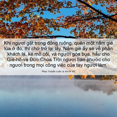 Picture 06 - Phục Truyền Luật Lệ 24:19 VIE - Khi ngươi gặt trong đồng ruộng, quên - Bible Verse Picture