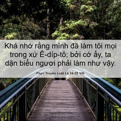 Picture 06 - Phục Truyền Luật Lệ 24:22 VIE - Khá nhớ rằng mình đã làm tôi mọi - Bible Verse Picture