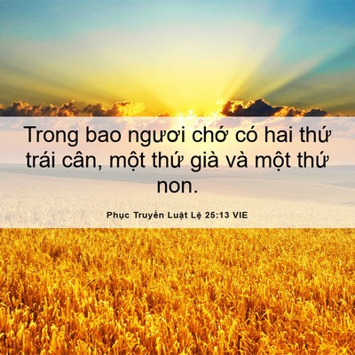 Picture 06 - Phục Truyền Luật Lệ 25:13 VIE - Trong bao ngươi chớ có hai thứ trái cân, - Bible Verse Picture