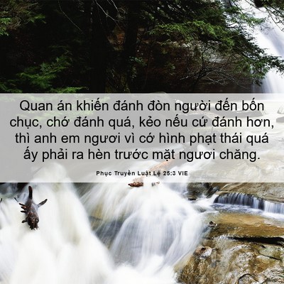 Picture 06 - Phục Truyền Luật Lệ 25:3 VIE - Quan án khiến đánh đòn người đến - Bible Verse Picture