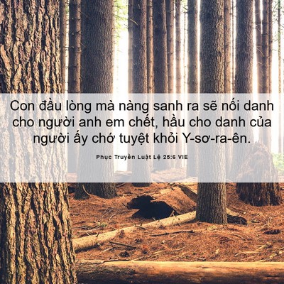 Picture 06 - Phục Truyền Luật Lệ 25:6 VIE - Con đầu lòng mà nàng sanh ra sẽ nối - Bible Verse Picture