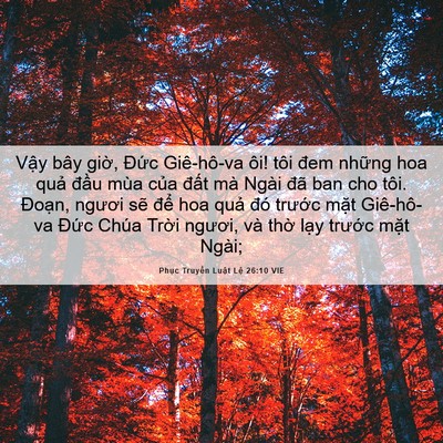 Picture 06 - Phục Truyền Luật Lệ 26:10 VIE - Vậy bây giờ, Đức Giê-hô-va ôi! tôi - Bible Verse Picture