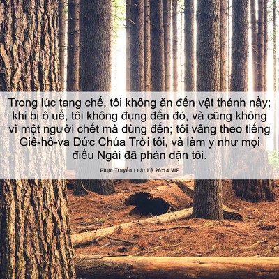 Picture 06 - Phục Truyền Luật Lệ 26:14 VIE - Trong lúc tang chế, tôi không ăn đến - Bible Verse Picture