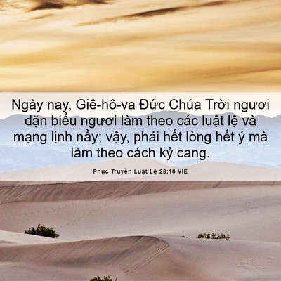 Picture 06 - Phục Truyền Luật Lệ 26:16 VIE - Ngày nay, Giê-hô-va Đức Chúa Trời - Bible Verse Picture