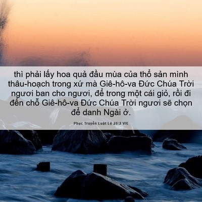 Picture 06 - Phục Truyền Luật Lệ 26:2 VIE - thì phải lấy hoa quả đầu mùa của - Bible Verse Picture
