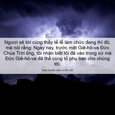 Picture 06 - Phục Truyền Luật Lệ 26:3 VIE - Ngươi sẽ tới cùng thầy tế lễ làm - Bible Verse Picture